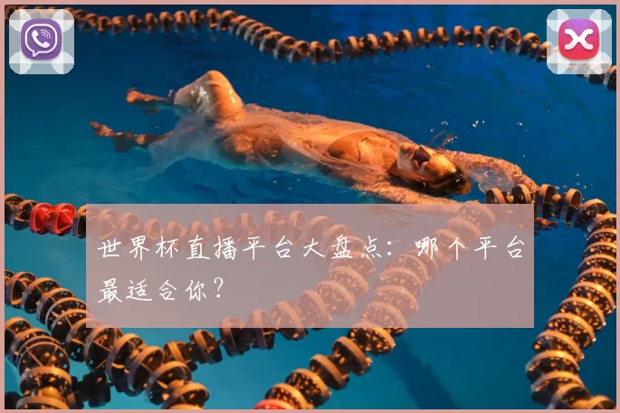 世界杯直播平台大盘点:哪个平台最适合你?
