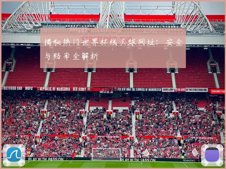揭秘热门世界杯线买球网址:安全与赔率全解析