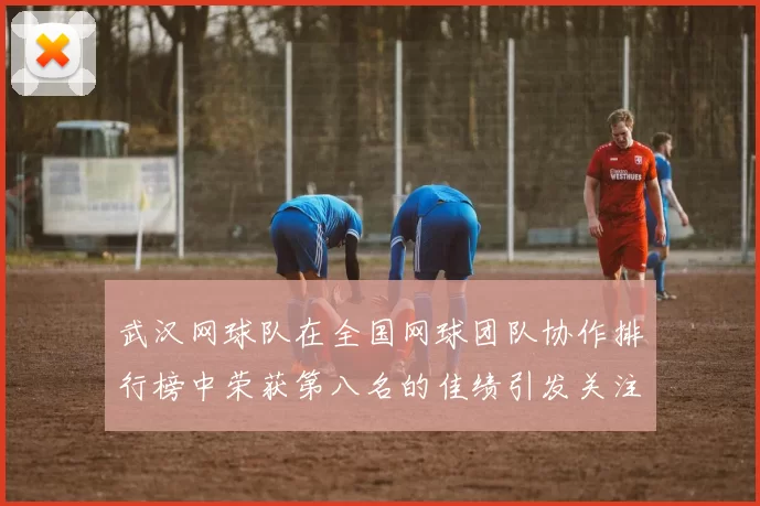 武汉网球队在全国网球团队协作排行榜中荣获第八名的佳绩引发关注