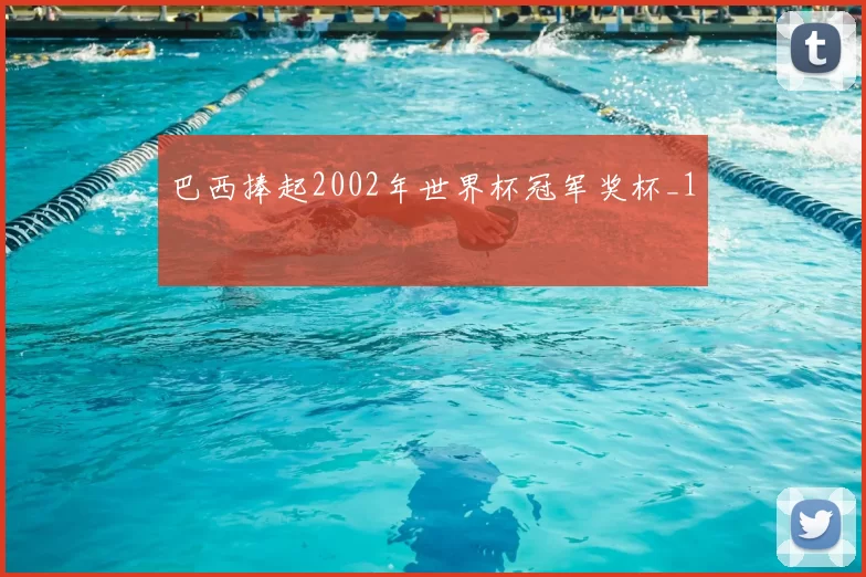 巴西捧起2002年世界杯冠军奖杯_1