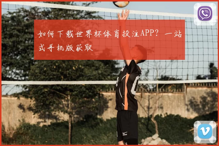 如何下载世界杯体育投注APP？一站式手机版获取