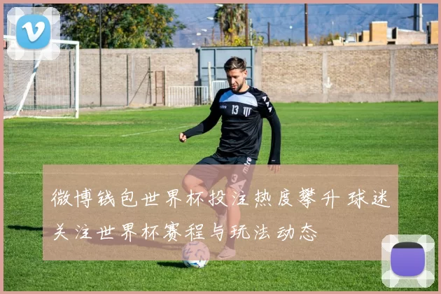微博钱包世界杯投注热度攀升 球迷关注世界杯赛程与玩法动态