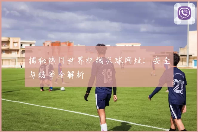 揭秘热门世界杯线买球网址:安全与赔率全解析