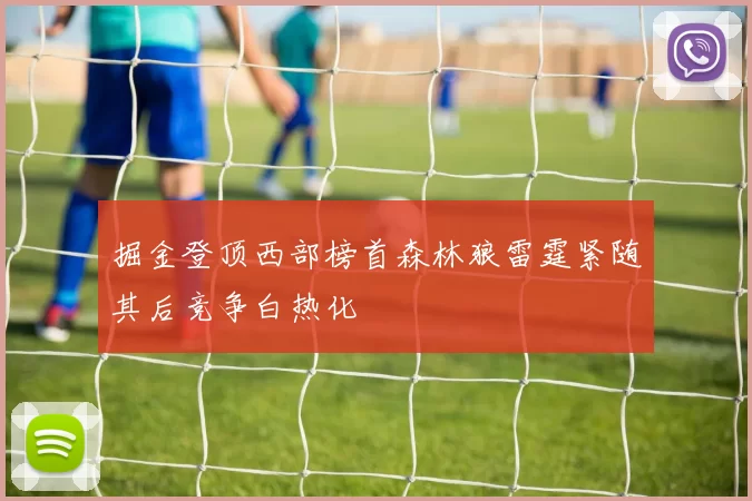 掘金登顶西部榜首森林狼雷霆紧随其后竞争白热化