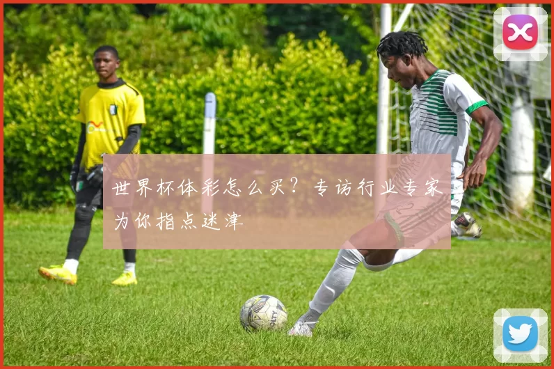 世界杯体彩怎么买?专访行业专家为你指点迷津