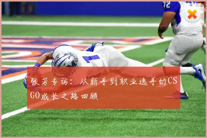 张芳专访：从新手到职业选手的CSGO成长之路回顾