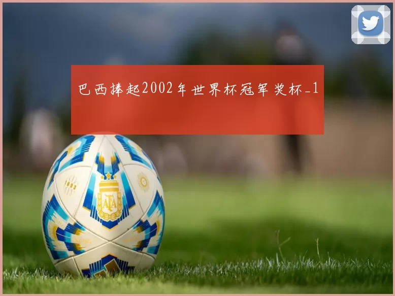 巴西捧起2002年世界杯冠军奖杯_1