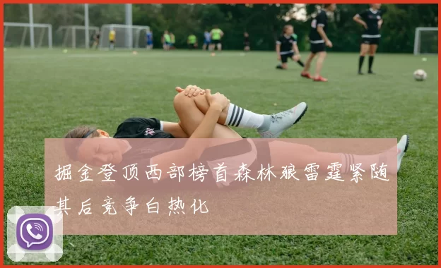 掘金登顶西部榜首森林狼雷霆紧随其后竞争白热化