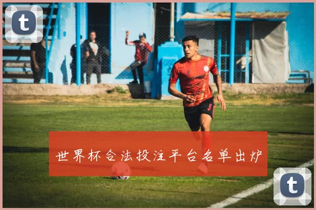世界杯合法投注平台名单出炉
