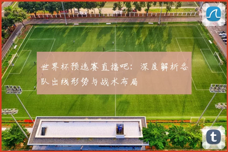 世界杯预选赛直播吧：深度解析各队出线形势与战术布局